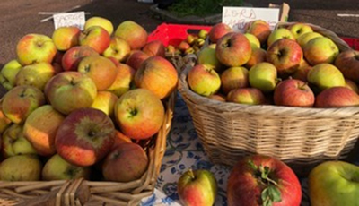 ringmer apple tasting