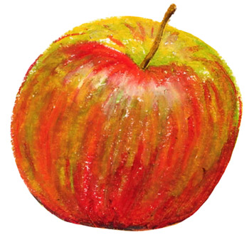 apple