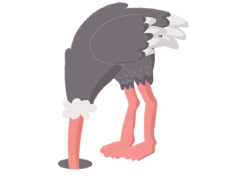 ostrich, climate denial