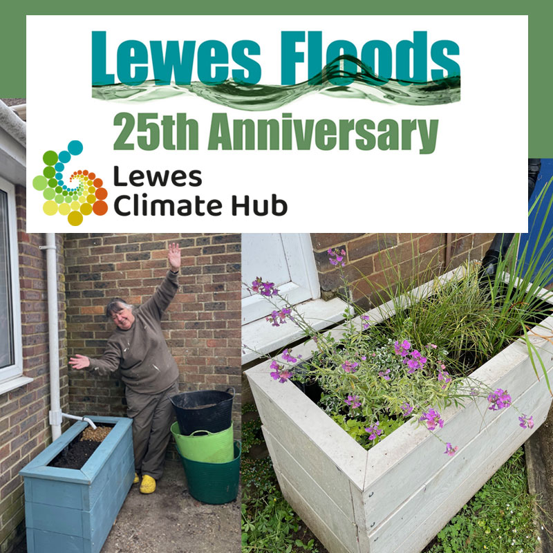 lewes floods hub
