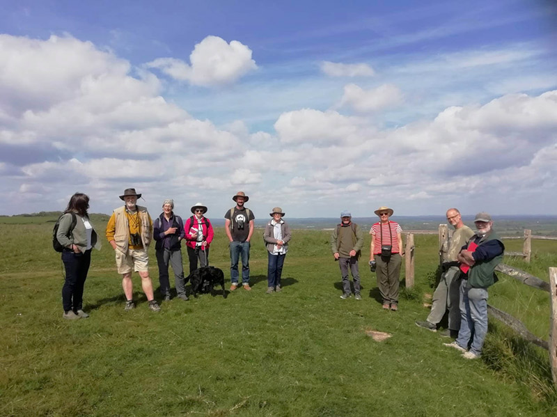 Read more about the article City Nature Challenge Walk