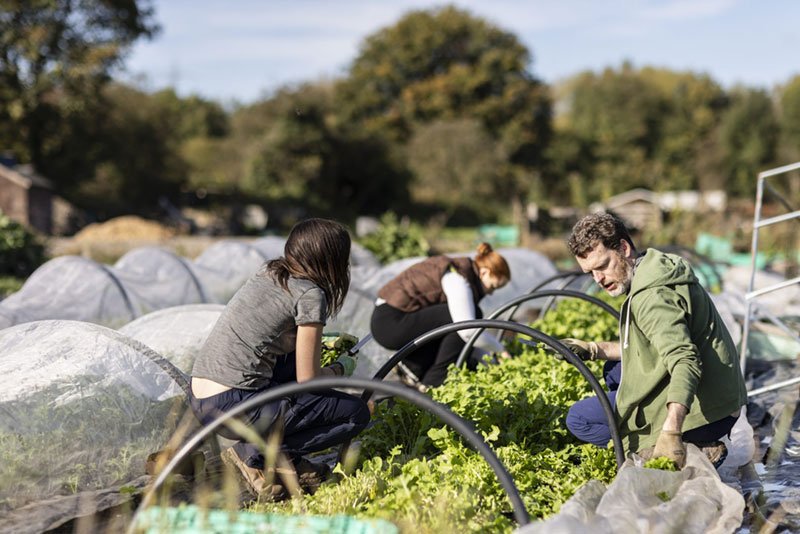 community supported agriculture
