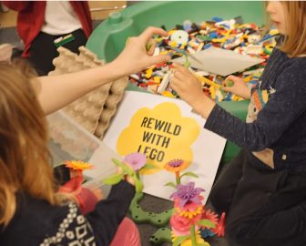 rewilding with lego