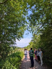 lewes urban arboretum