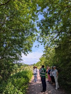 lewes urban arboretum
