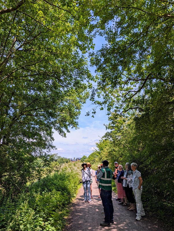 lewes urban arboretum