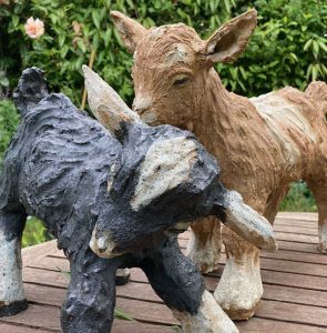 goats by dinah Morgan