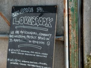 Lovebrook