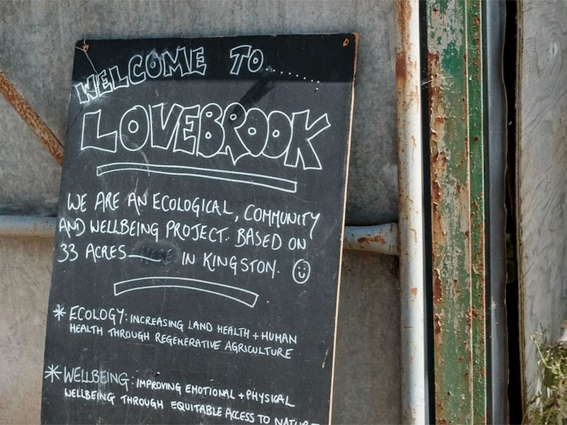 Lovebrook
