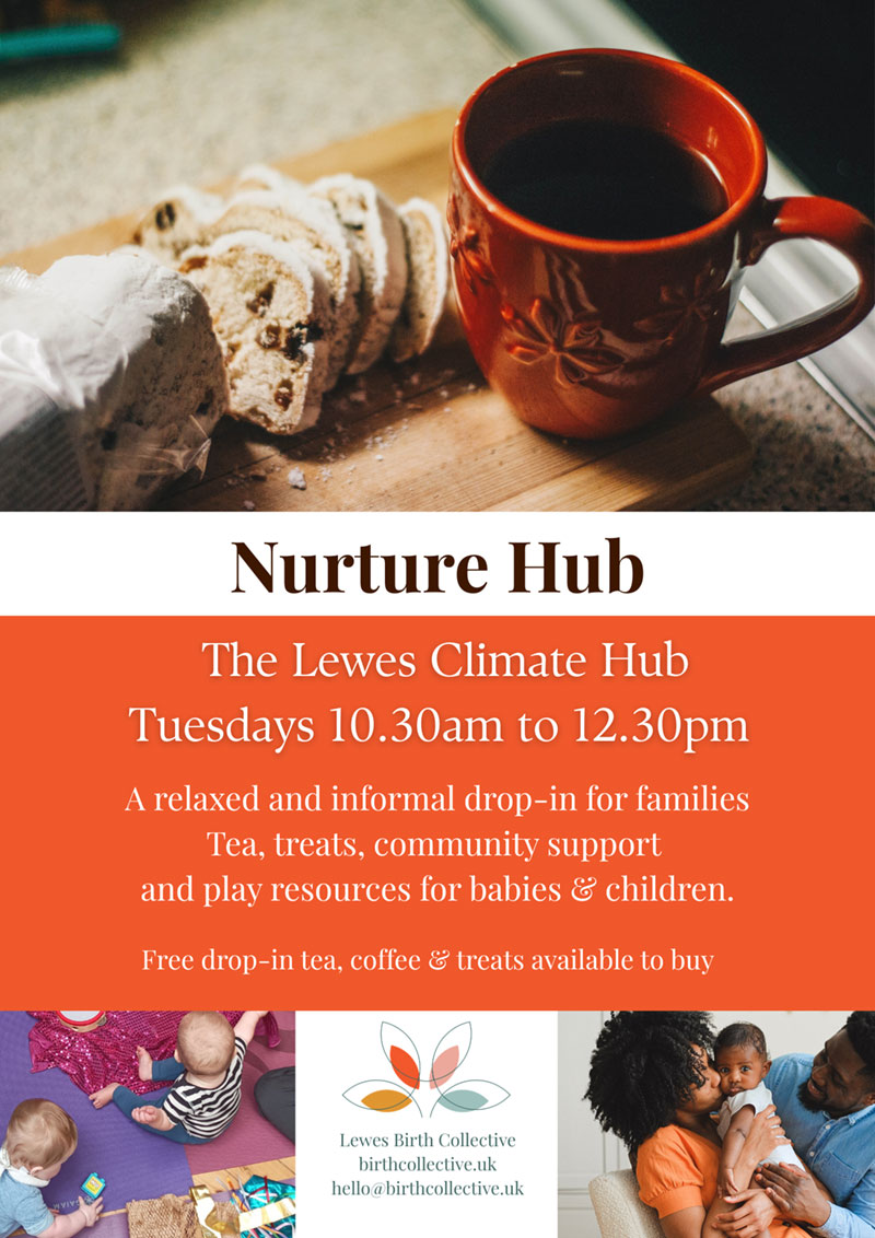 nurture hub