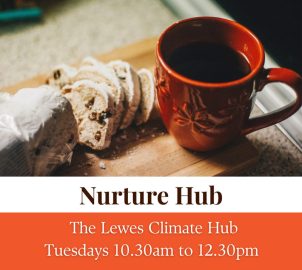 nurture hub