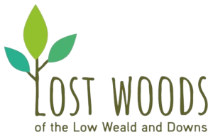 Lost Woods Project