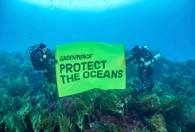 greenpeace oceans